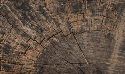 Fototapeta premium old wood background