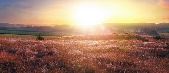 Beautiful colorful natural panoramic landscape at sunset. Field with wild grass in evening in  rays...