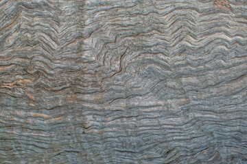close up of a wood texture surface, abstract texture background