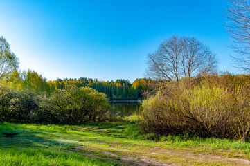 Obraz premium Forest and forest lakes in Samarskaya Luka National Park!