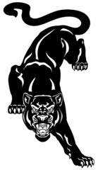 The roaring panther climbs down looking straight ahead. Aggressive black leopard. Front view. Black and white tattoo style vector illustration
