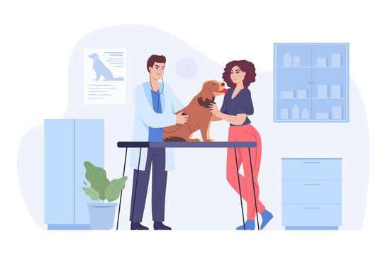 Male veterinarian helping dog of female owner in animal center. Doctor checking health of cute pet flat vector illustration. Veterinary clinic, animal care, medicine concept for banner, website design
