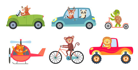 Comic animals in different vehicles vector illustrations set. Different means of transport, cute funny monkey, lion cartoon characters riding car, helicopter, bike, scooter. Transportation concept