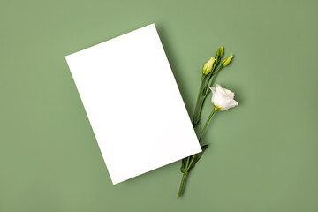 Template paper with plant shadow on pastel green background , great design for any purposes. Abstract background. Banner template. Advertising 