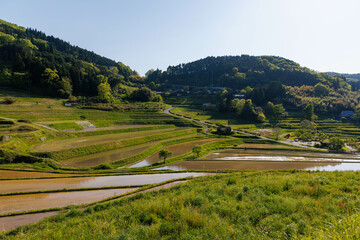 日本の岡山県美咲町の大垪和西の美しい棚田
