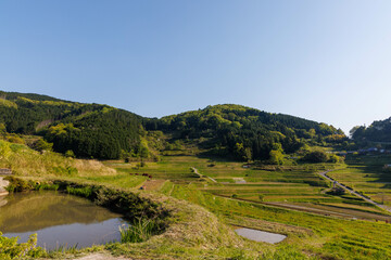 Obraz premium 日本の岡山県美咲町の大垪和西の美しい棚田