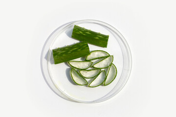Aloe vera in petri dish on white background.