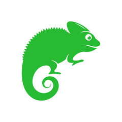 green chameleon cartoon