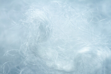 Obraz premium Extreme macro of polyester stable fiber