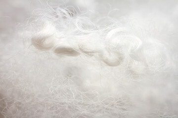 Obraz premium Extreme macro of polyester stable fiber