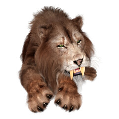 3D Rendering Sabertooth Tiger on White