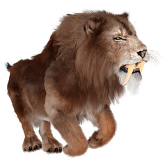 3D Rendering Sabertooth Tiger on White