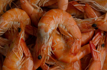 Cooked shrimps or prawns. Macro photography.