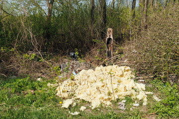 Terrible landfill in the woods. Concept of anthropogenic pollution of forests and nature. There's a...