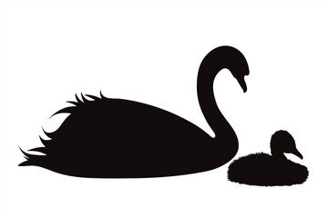 Vector silhouette of swan with baby swan. Symbol of wild animal and family.