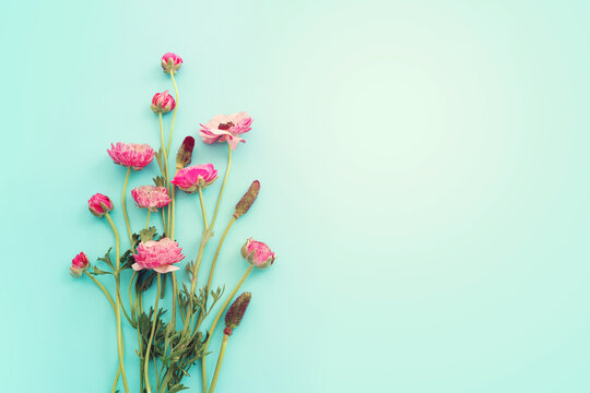 Top view image of pink flowers composition over blue background
