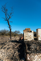 A wooden private house destroyed after a fire. The consequences of a forest fire in the village....