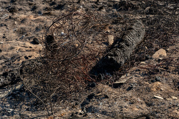 A wooden house in the village burned down because of a forest fire. Charred boards and various things lie on the ground, covered with ash and smoke.