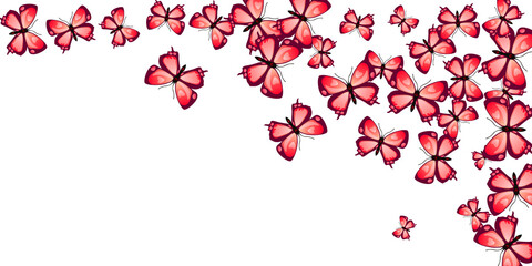 Exotic red butterflies abstract vector illustration. Spring colorful insects. Decorative butterflies abstract kids background. Sensitive wings moths patten. Tropical creatures.