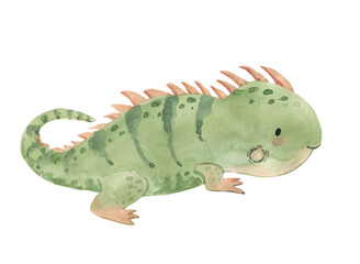 Watercolor iguana illustration for kids
