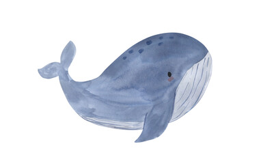 Watercolor whale illustration for kids © Olga Listopad