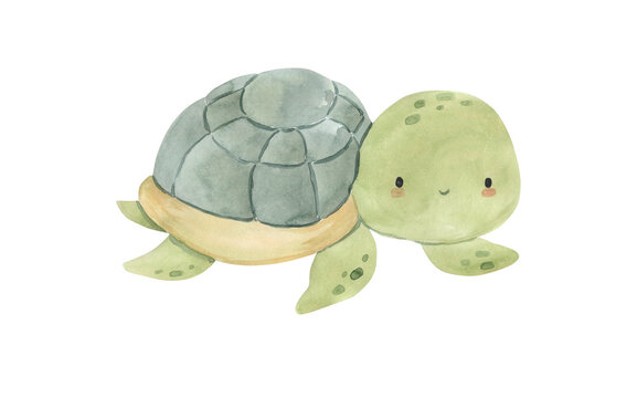 Watercolor Turtle illustration for kids