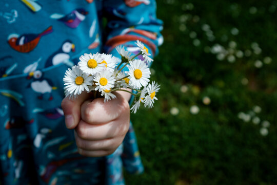 Girl in colourful dress holding a small bouquet of daisy flowers