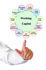 Eleven Source of Working Capital