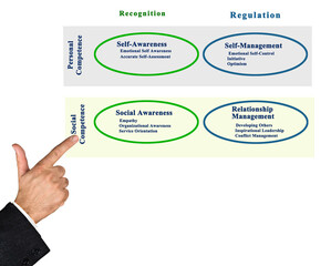 Presenting Diagram of Emotional Intelligence.
