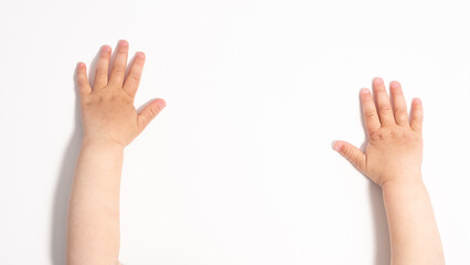 Small child's hands on a white background