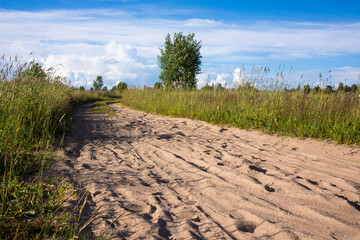 Ttrace of the hoof of the horse on the sandy road in the woods