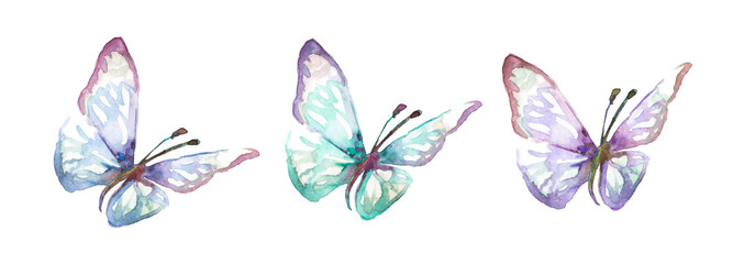 Watercolor blue tropical butterflies isolated on a white background. moths for design