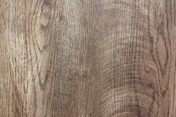 Wood background texture, old natural pattern.