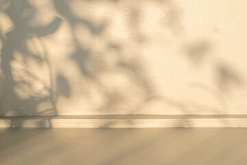 Shadow studio showcase on beige wall and floor for product presentation. Pastel shadows sunshine and sunbeam reflection on pastel empty luxury studio room