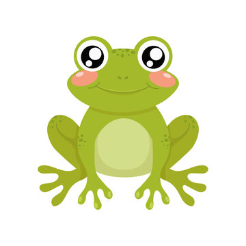 Cute Green Frog On A White Background