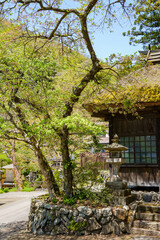 茅葺屋根の古風な建物