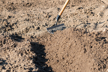 Shaping soil for planting with rake in spring, work with gardening tool - preparing ground for...
