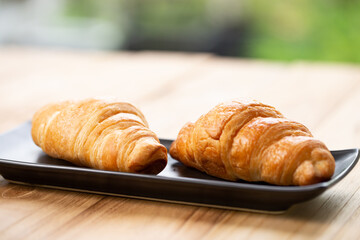 Two croissants are on plate. Croissant is a buttery, flaky, French  pastry. This bread uses the French yeast-leavened laminated dough. Crispy and yummy.