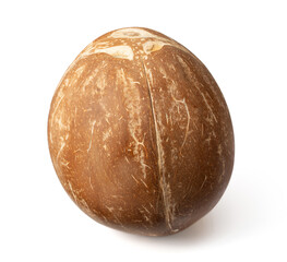 One coconut fruit isolated on white background.
