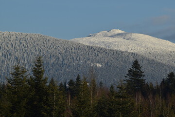 Babia góra w śniegu, trzy zbocza górskie. Drzewa iglaste, błękitne niebo.