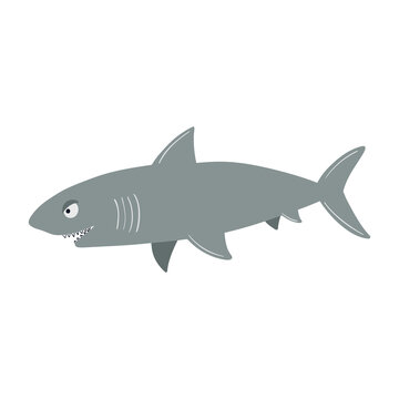 Sea shark. Vector illustration on a white background in cartoon style.