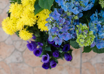 Blooming hydrangea, yellow chrysanthemum and purple eustoma on a white background. close-up. Banner