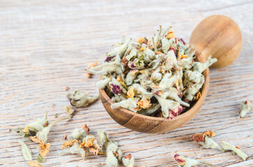 Flower tea. Dried of apple blossom in wooden spoon.