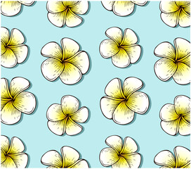 Outline drawing pattern of tropical plumeria flower isolated on blue background. Sketch white and yellow exotic flowers wallpaper. Hand drawn Summer floral textile design. Spring vector illustration.