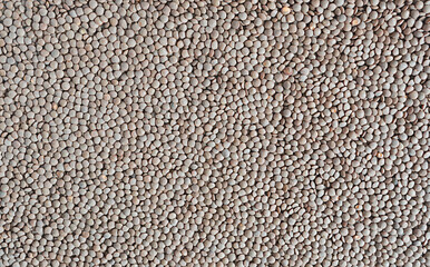 Vegetarian background of brown lentil grains.Top view, flatlay