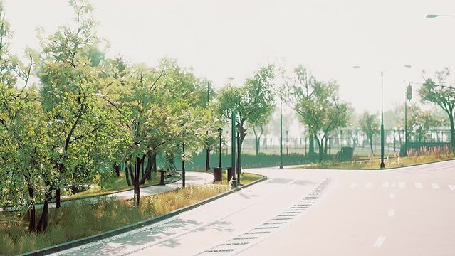 View of empty road with lamp post and sunlight