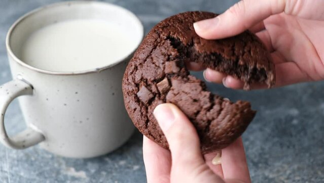 Soft chocolate cookie with chocolate chunks in female hands. Breaking cookie in two pieces