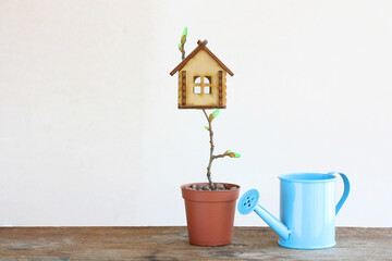 small tree house grown in a pot