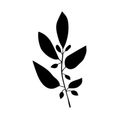 Floral branch. Herbs and forest plants. One sprig of grass with elegant leaves. botanical rustic pattern