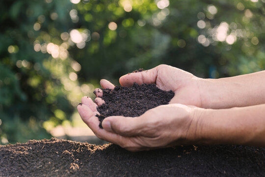 Closeup hands  holding abundance soil in nature background for agriculture or planting peach concept.